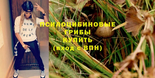 СК Аркадак