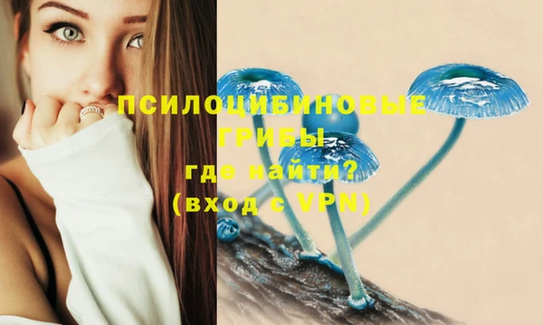 СК Аркадак
